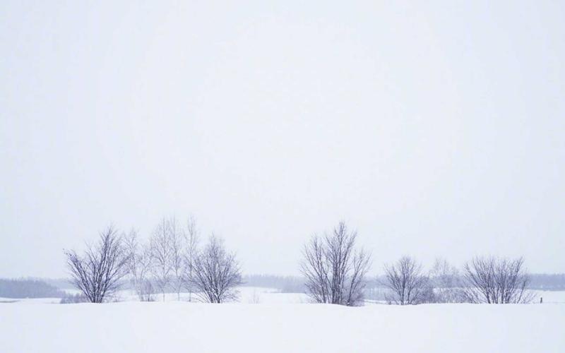 日本冬日唯美雪景图片桌面壁纸