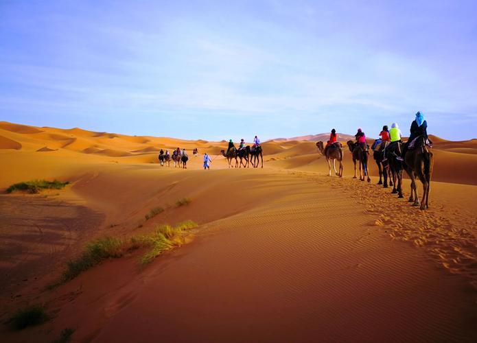 黄昏,骑骆驼到撒哈拉沙漠深处观落日,金色的撒哈拉沙漠让我们惊喜.