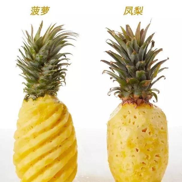 分不清菠萝和凤梨牢记这6个字看一眼就能分出来不会买错了