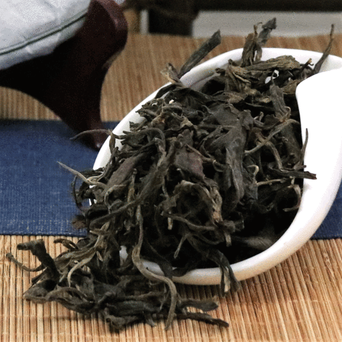 云南特产食品茶叶普洱茶批发 情动普洱百年老树357g黑茶一件代发