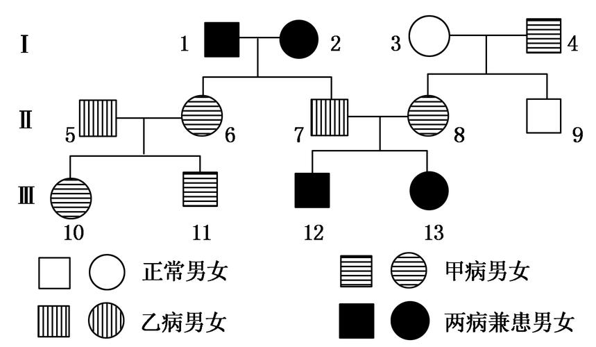 贵阳模拟))下图是某校学生根据调查结果绘制的两种遗传病的家族系谱图