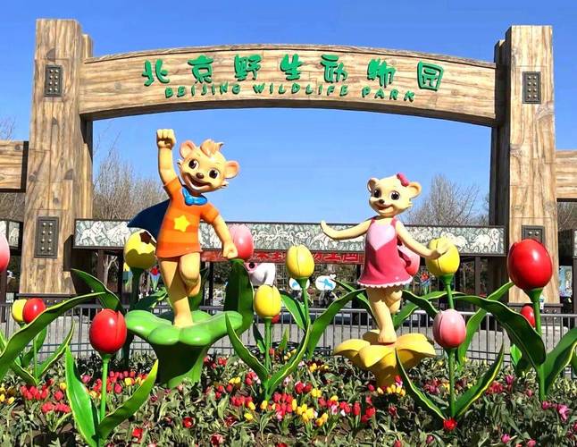 北京野生动物园2024开放时间_运营_环境_森林