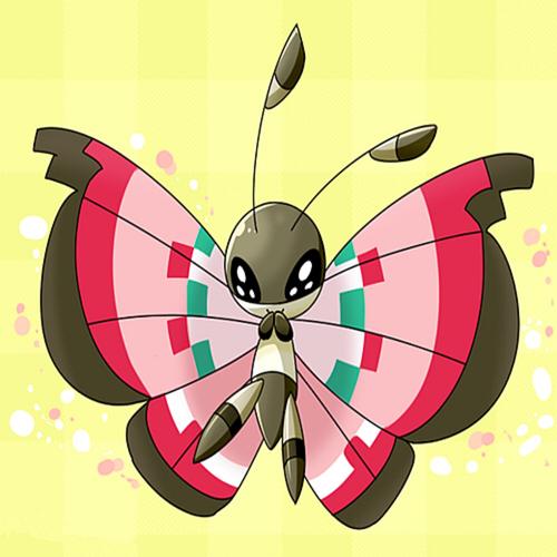碧粉蝶:虫 飞行系,粉蝶蛹的进化型
