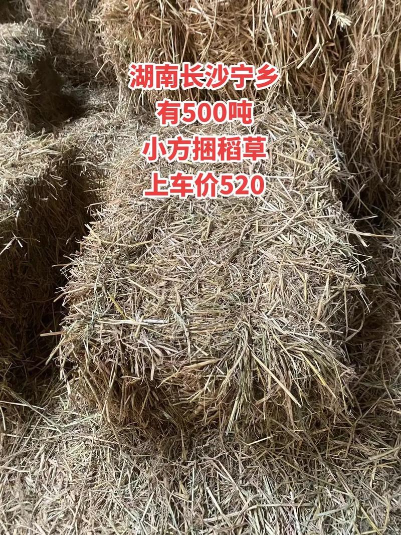 湖南长沙有稻草出售.