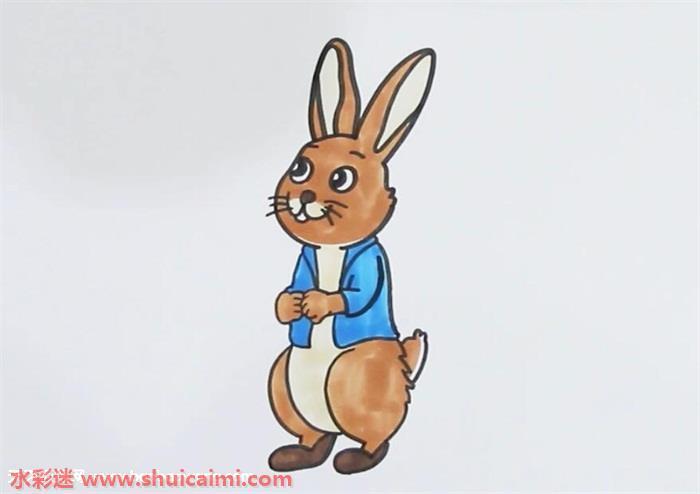 彼得兔怎么画彼得兔简笔画步骤