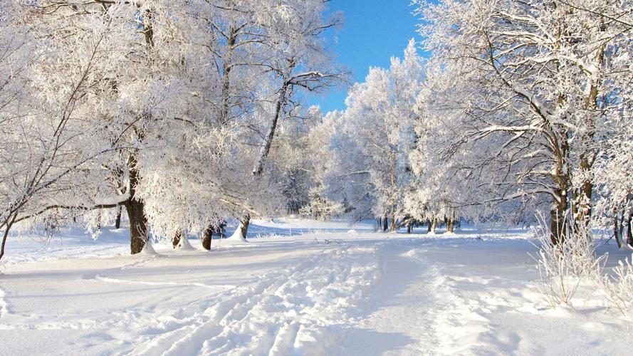 精选唯美冬季雪景图片桌面壁纸