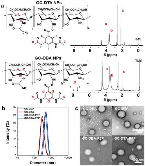 iodinated echogenic glycol chitosan nanoparticles for x-ray ct