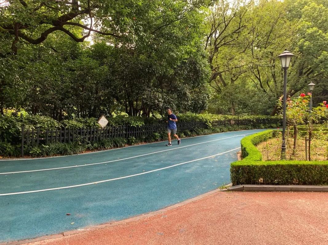 中山公园新建成一条"蓝色步道",走上去美滋滋