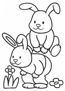 两只可爱的小白兔_兔子简笔画-简笔画大全