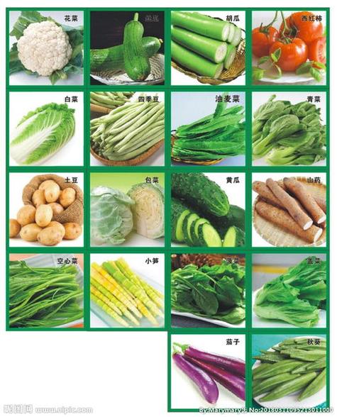 蔬菜名称大全和图片