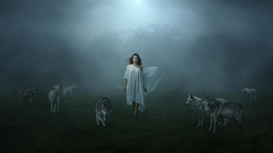 白色礼服女孩和狼,雾 壁纸 - 1600x900