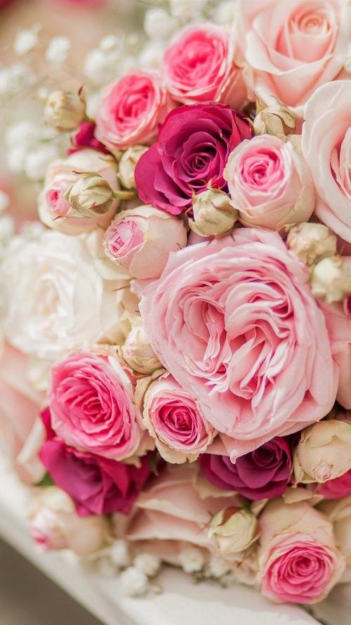 花束玫瑰花,粉红色和白色,板凳 iphone 壁纸