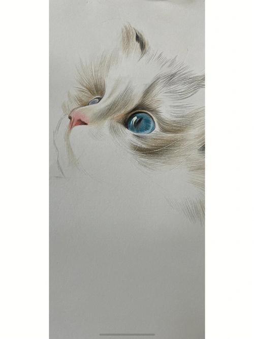 彩铅猫猫可可爱爱软软糯糯#彩铅画  #彩铅手绘  #彩铅临摹  #彩铅猫