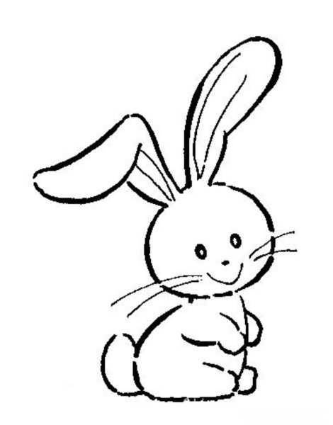 兔子简笔画可爱兔子怎么画简单又可爱