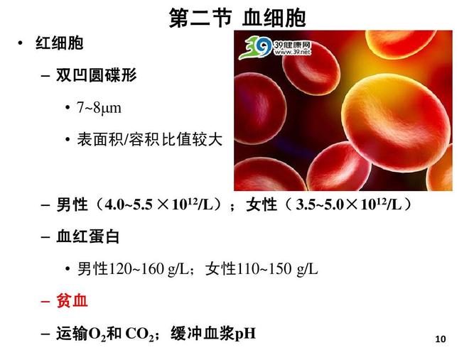 07 血液的组成和理化特性
