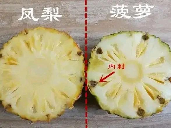 菠萝和凤梨有以下区别!