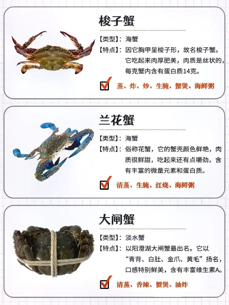 常见蟹的种类与做法#福渔网 #福渔网海鲜 #福渔网水产 #海 - 抖音