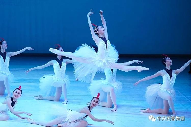中央芭蕾舞团贺岁芭蕾舞剧过年精彩剧照喜庆中国年