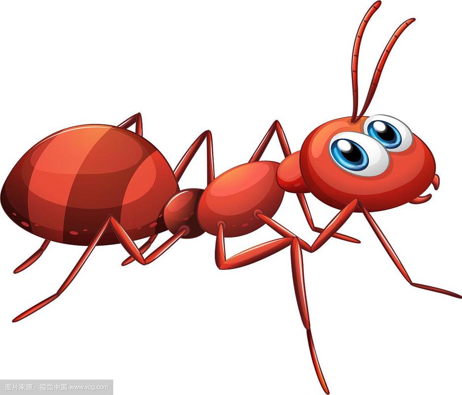 一只红色的大蚂蚁