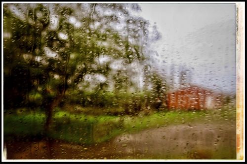 在新西兰的前三天总下雨,看着车窗外的美景总聚不上焦,干脆就用玻璃上