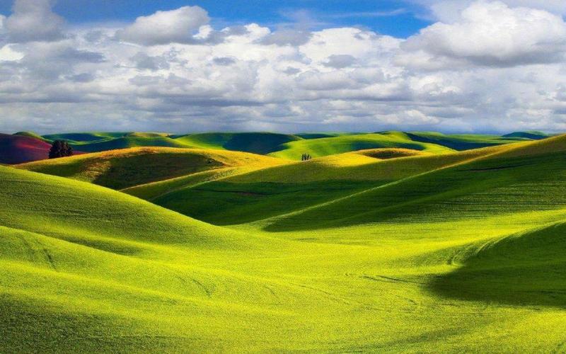 高清绿色草原,高清图片,电脑桌面-壁纸族