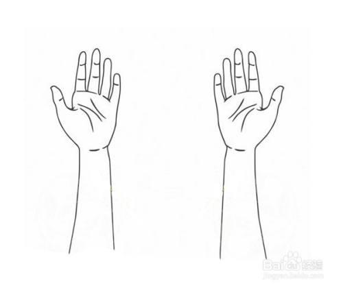 手怎区分左右手