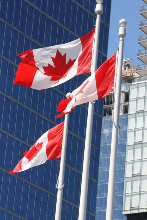 飘扬的加拿大国旗图片第2张