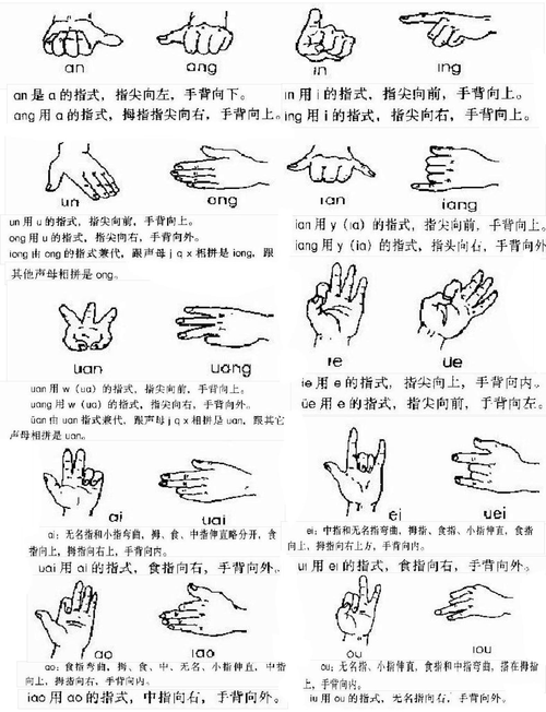 双指语 拼音手语图 第2页 (共2页,当前第2页) 你可能喜欢 手语基础
