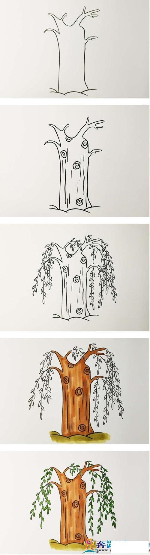 怎么画柳树简笔画简单漂亮