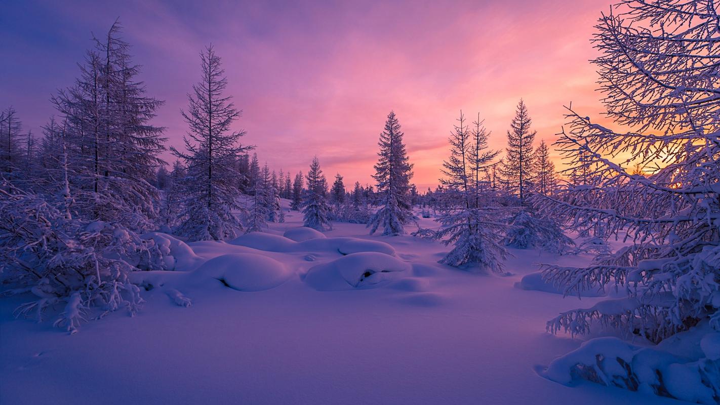 大自然唯美梦幻的雪景图片桌面壁纸,大雪纷飞的冬天,唯美又梦幻的雪景