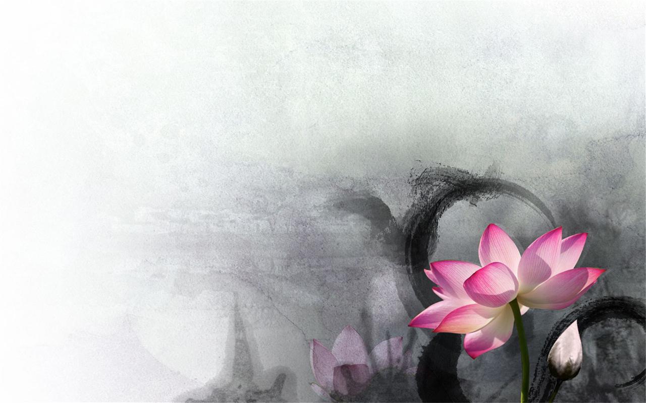 中国风唯美高清桌面壁纸(二)高清大图预览1920x1200_植物壁纸下载_美