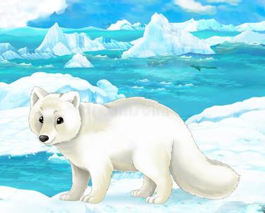 卡通场景-北极动物-北极狐照片