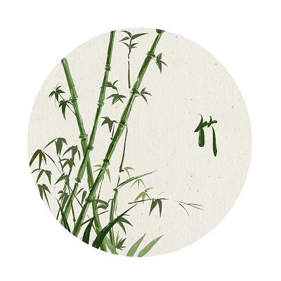 风景竹子图片