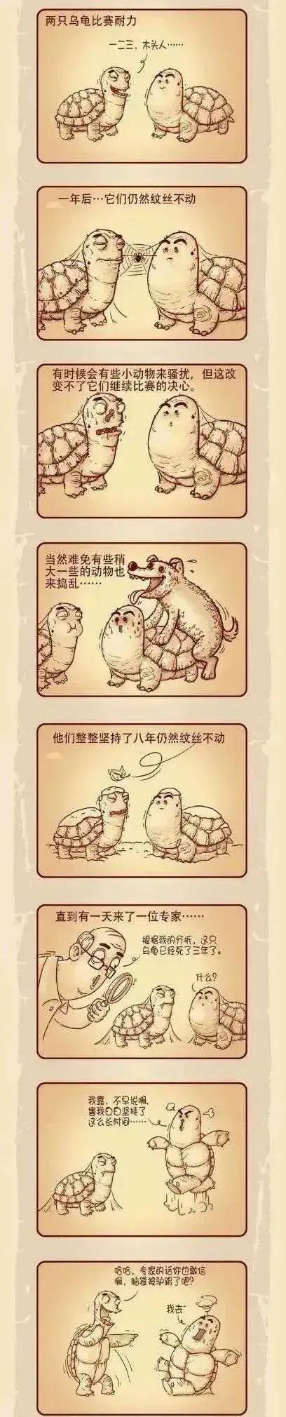 漫画小科普:两只乌龟比赛耐力,这图说明了什么?有谁明白吗?