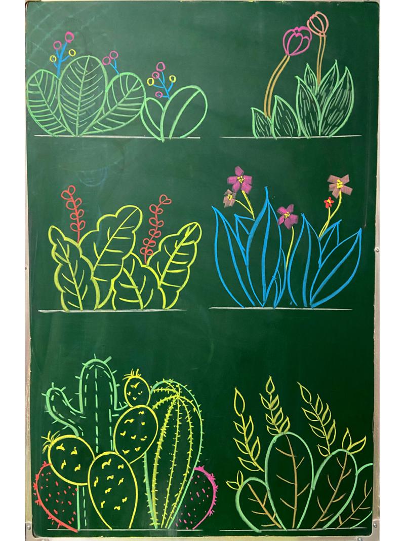黑板报|粉笔画61一些角落花卉