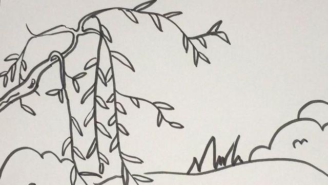 柳树的简笔画怎么画