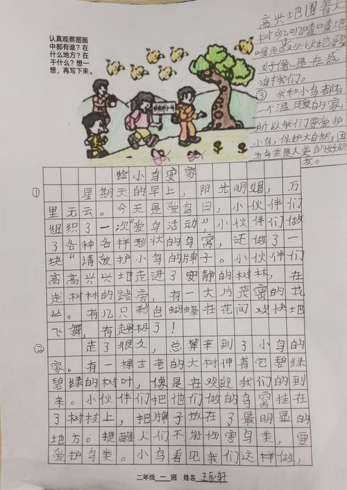 二年级一班看图写话集(七)《给小鸟安家》