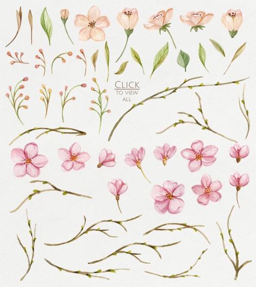 手绘水彩植物 小清新平面设计 手账贴纸素材 树叶 桃花 森系