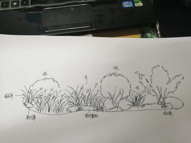 花境和驳岸植物景观,画出3个花境配置的平,立面图