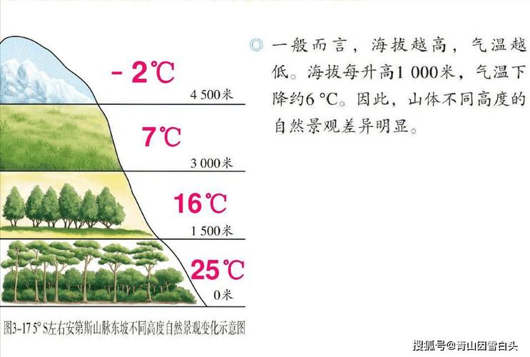 【植物知识】海拔高低与不同坡向的植物群落_土壤_降水量_温度