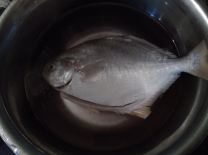 请问这条是什么鱼,怎么做好吃
