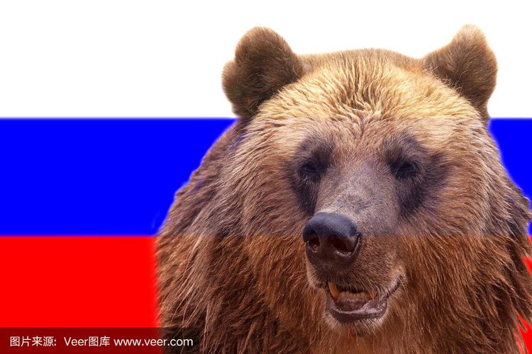 俄罗斯国旗上的棕色俄罗斯熊