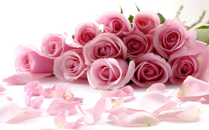 浪漫粉色的玫瑰花束 壁纸 - 2560x1600
