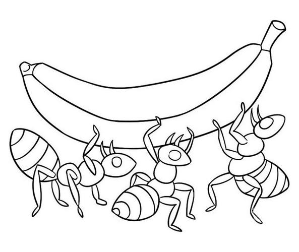 蚂蚁抬香蕉图解简笔画