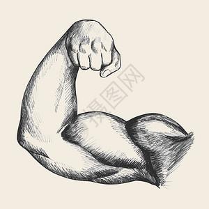肌肉男的鸡鸡男人眨眼插画  |从背面看肌肉男右臂的素描图插画