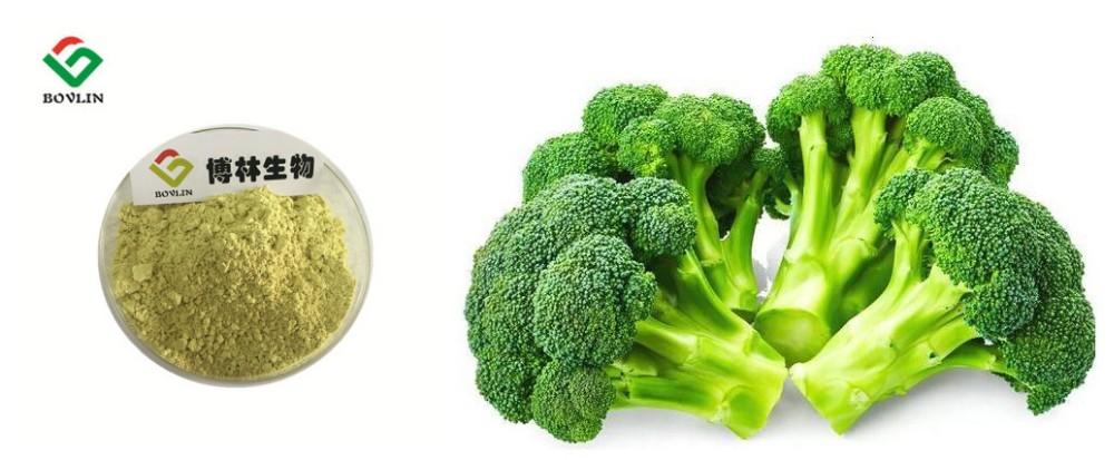 hot selling bulk broccoli extract powder sulforaphane 98%