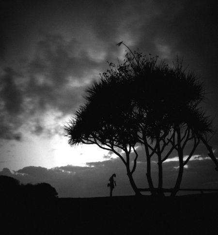 一个男人靠着大树,周围是什么都没有,要黑白的伤感 图片