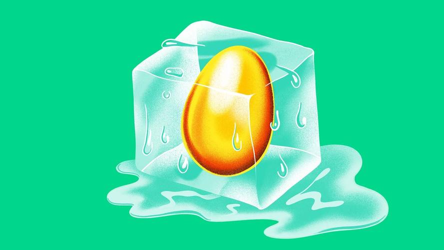 冷冻卵子富人的选择不高的几率