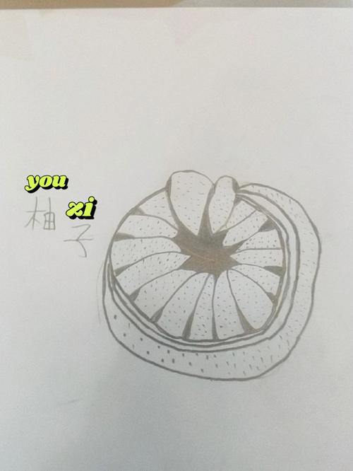 简笔画柚子