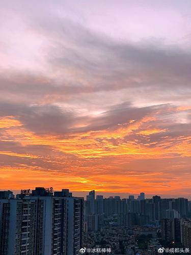 今日份成都清晨,天空是染红的画布.错过的戳图收获美景……|成都市_新